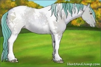 Horse Color:Watercolor Grullo Pearl Tobiano