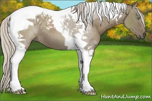 Horse Color:Silver Grullo Tobiano 