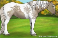 Horse Color:Silver Grullo Tobiano