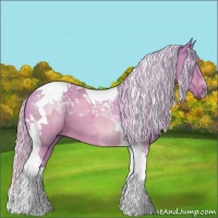 Horse Color:Watercolor Silver Brown Dun Tobiano