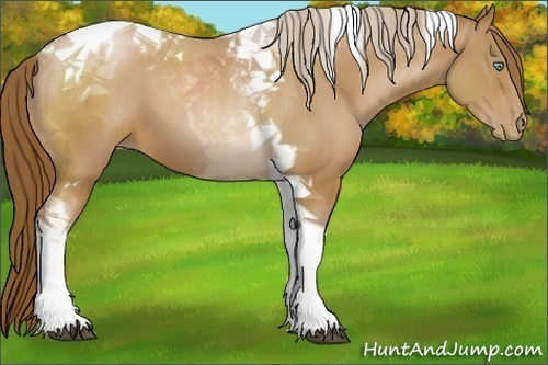 Horse Color:Brown Pearl Tobiano