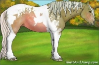 Horse Color:Watercolor Silver Brown Tobiano 