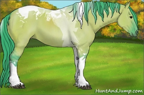 Horse Color:Watercolor Grullo Tobiano 