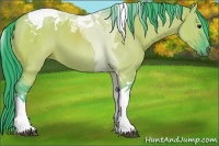 Horse Color:Watercolor Grullo Tobiano 