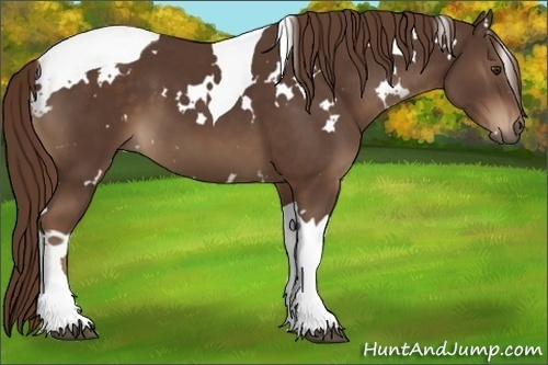 Horse Color:White Spotted Liver Chestnut Tobiano 