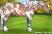 Horse Color:Watercolor White Spotted Silver Brown 