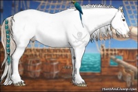 Horse Color:Chestnut Ice Appaloosa 