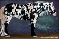 Horse Color:White Spotted Classic Champagne Dun Appaloosa Rabicano 