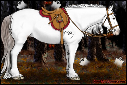 Horse Color:Grullo Ice Splash Varnish Rabicano