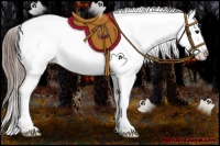Horse Color:Grullo Ice Splash Varnish Rabicano
