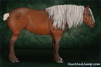Horse Color:Silver Bay 