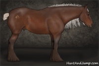 Horse Color:Silver Brown 