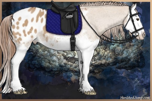 Horse Color:White Spotted Red Dun Splash Blanket