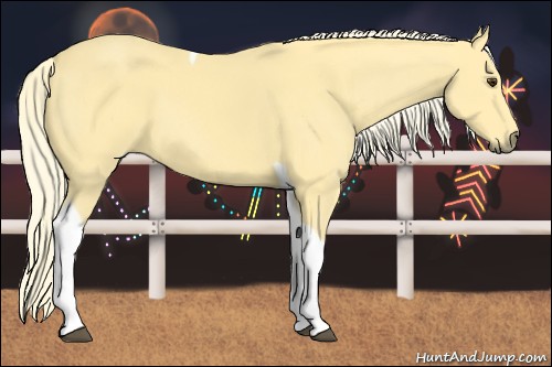 Horse Color:Palomino Tobiano 