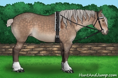 Horse Color:Silver Brown Dun 