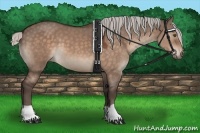 Horse Color:Silver Brown Dun 