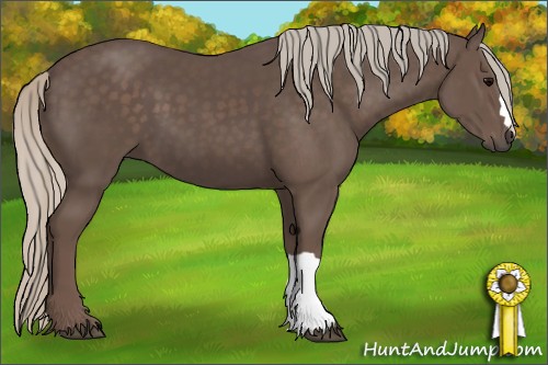 Horse Color:Silver Black 
