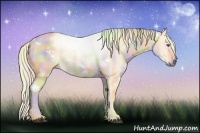 Horse Color:Nacre Watercolor White Spotted Liver Chestnut Chinchilla Sabino 