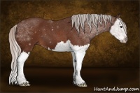 Horse Color:Silver Bay Splash 