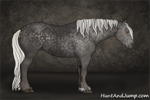 Horse Color:Silver Smoky Black Chinchilla Sabino 