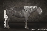 Horse Color:Silver Smoky Black Chinchilla Sabino 