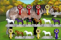 Horse Color:Brown Ice Sabino Splash
