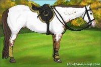 Horse Color:White Spotted Bay Appaloosa