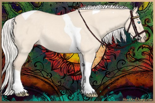 Horse Color:Silver Perlino Dun Tobiano Rabicano 