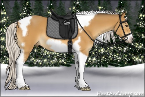 Horse Color:Silver Buckskin Tobiano Frame 