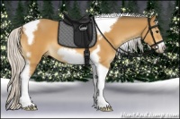 Horse Color:Silver Buckskin Tobiano Frame