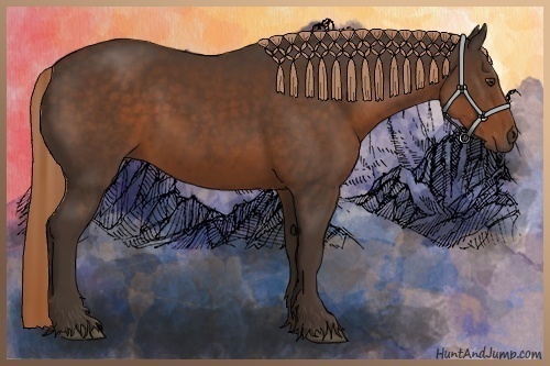 Horse Color:Liver Chestnut 