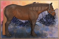 Horse Color:Liver Chestnut 