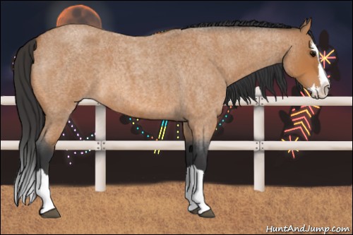 Horse Color:Bay Roan Splash 