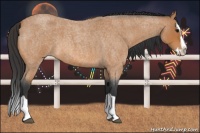 Horse Color:Bay Roan Splash 