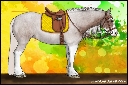 Horse Color:Silver Bay Ice Roan Sabino 