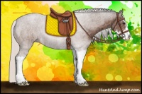 Horse Color:Silver Bay Ice Roan Sabino