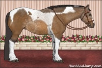 Horse Color:Buckskin Tobiano