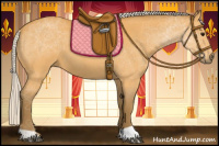 Horse Color:Silver Buckskin Roan 