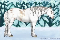 Horse Color:Silver Buckskin Ice Onyx Sabino
