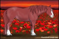 Horse Color:Watercolor Liver Chestnut Splash 