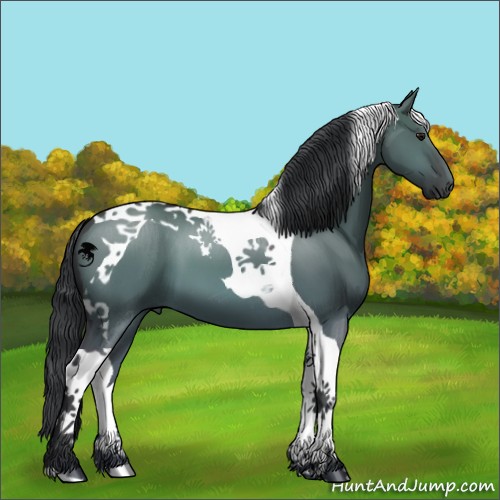 Horse Color:Brown Dun Tobiano 