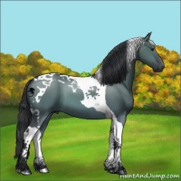 Horse Color:Brown Dun Tobiano 