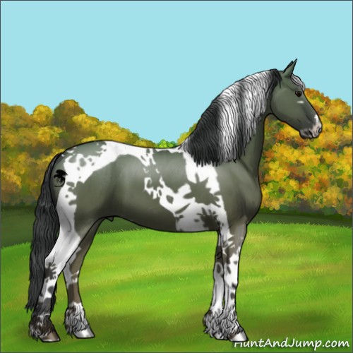 Horse Color:Grullo Sabino Tobiano Brindle