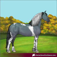 Horse Color:Grullo Chinchilla Tobiano 