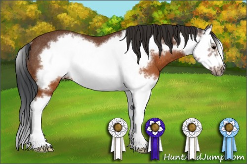 Horse Color:Brown Splash Frame Rabicano 