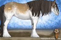 Horse Color:White Spotted Buckskin Rabicano