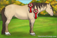 Horse Color:Amber Champagne Roan 