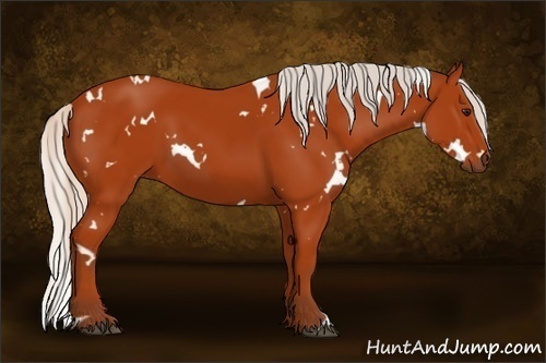 Horse Color:White Spotted Silver Brown