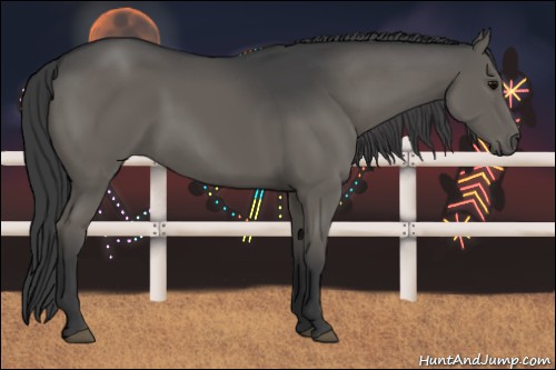 Horse Color:Grullo Rabicano 