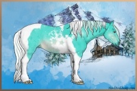 Horse Color:Watercolor Silver Brown Chinchilla Tobiano 